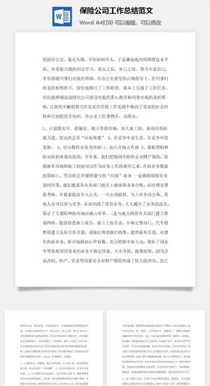 保险公司工作总结范文word模板预览图