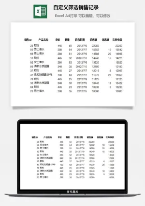 自定义筛选销售记录excel模板预览图