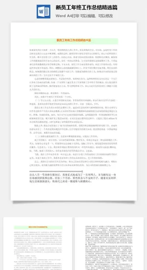 新员工年终工作总结精选6篇word模板预览图
