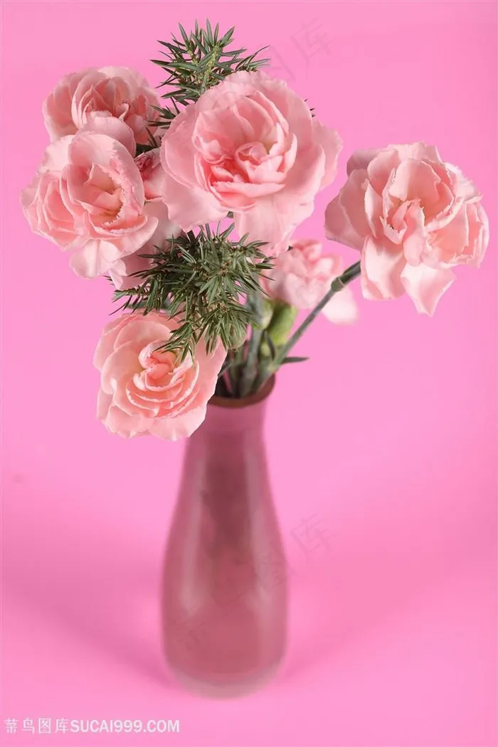 唯美花瓶里的粉色玫瑰花图片玫瑰花图片