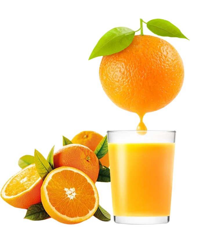 免抠新鲜水果橙子橙汁