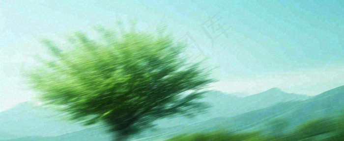 高山模糊绿树植物光影，大自然摄影图