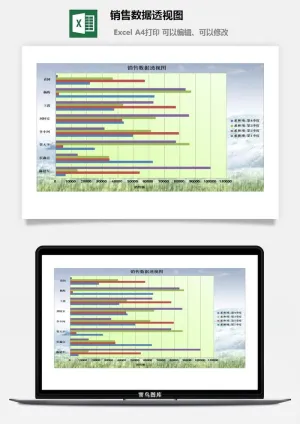 销售数据透视图excel模板预览图