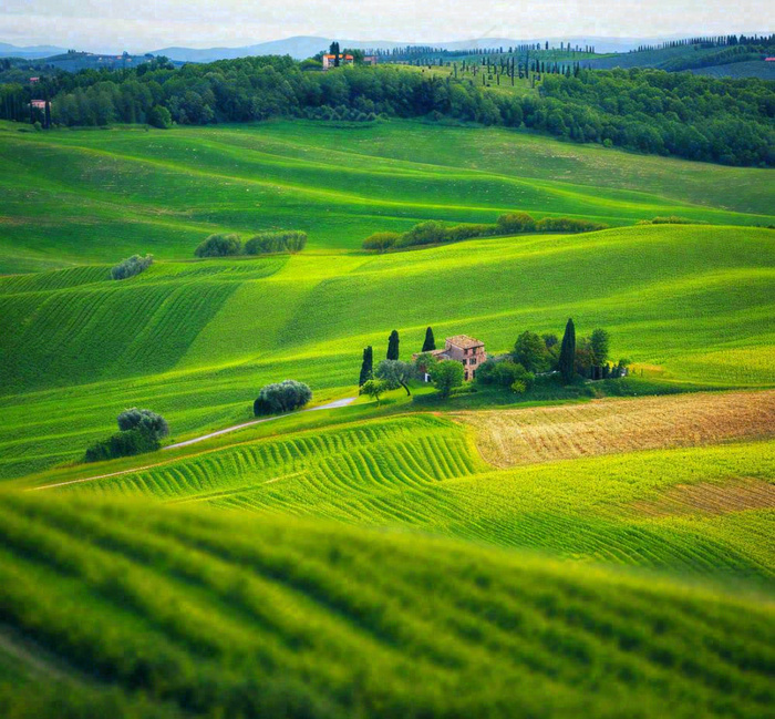 春天连绵山脉绿色草地郊游，清新惊蛰春分摄影图