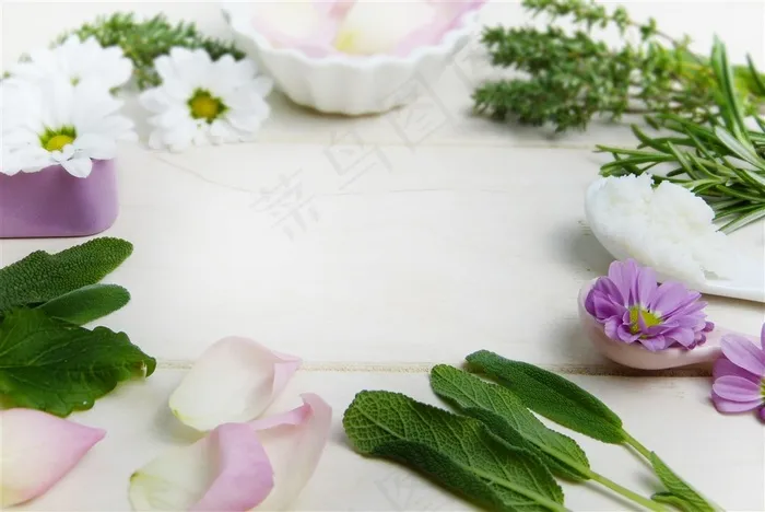 美丽花卉植物化妆品素材