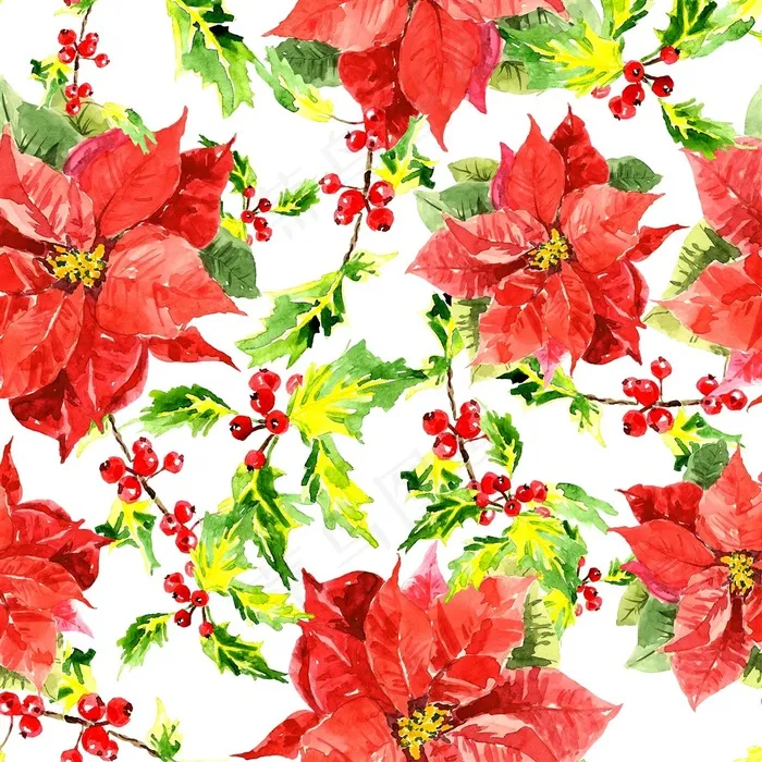 水彩花朵花纹圣诞素材背景图