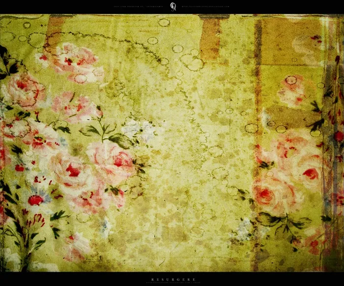 古典花纹素材图片下载