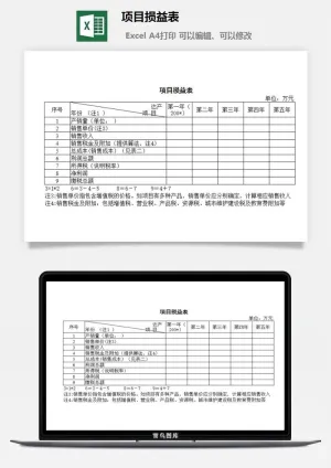 项目损益表excel模板预览图