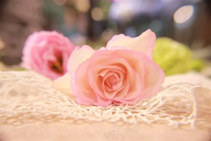 清纯粉色玫瑰玫瑰花图片