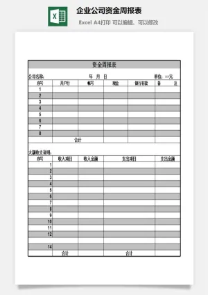 企业公司资金周报表excel模板预览图