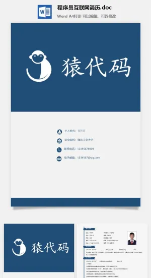 程序员互联网简历.doc预览图