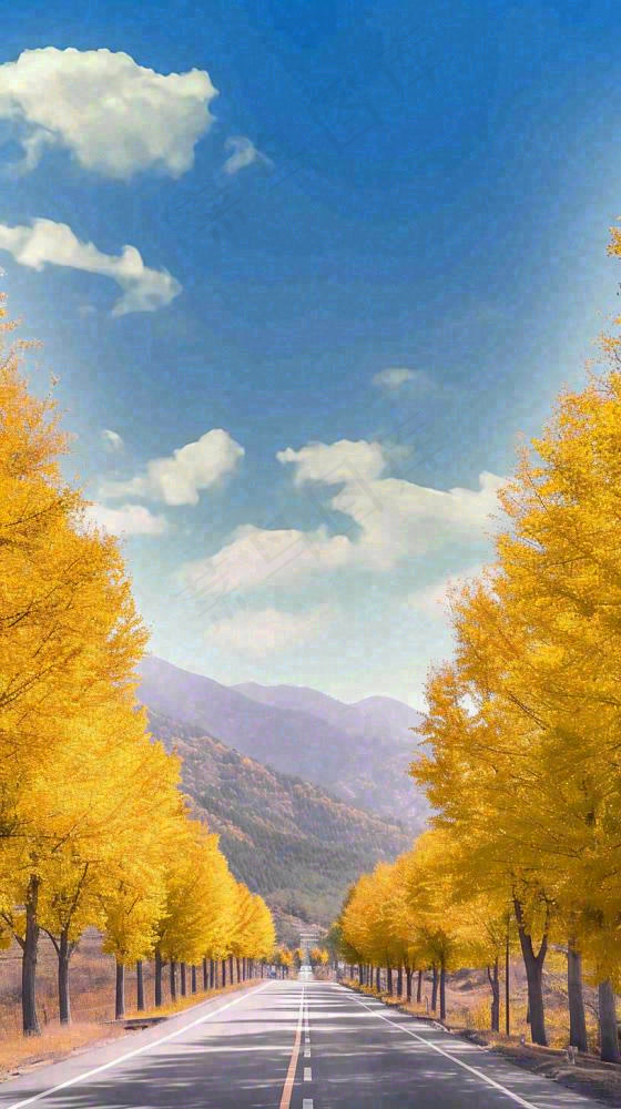 秋天蓝天白云下唯美公路旁的黄叶树木，秋分处暑摄影图