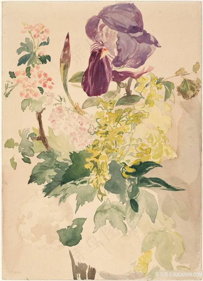 爱德华 · 马奈(1832-1883)-带有鸢尾、金链花油画图片