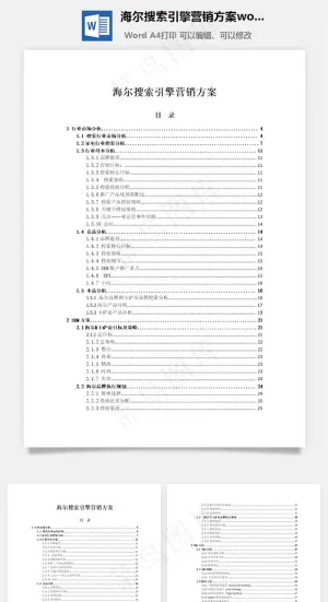 海尔搜索引擎营销方案word文档预览图
