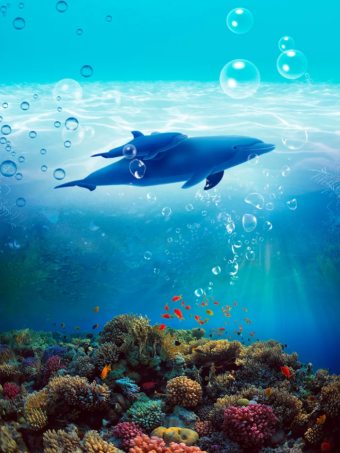 海豚蓝鲸鱼母子畅游海底高清壁纸