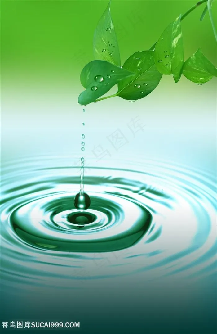 水滴涟漪绿叶图片