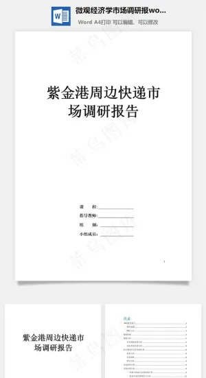微观经济学市场调研报word文档预览图