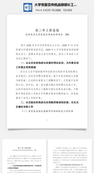 大学党委宣传统战部部长工作总结word模板预览图
