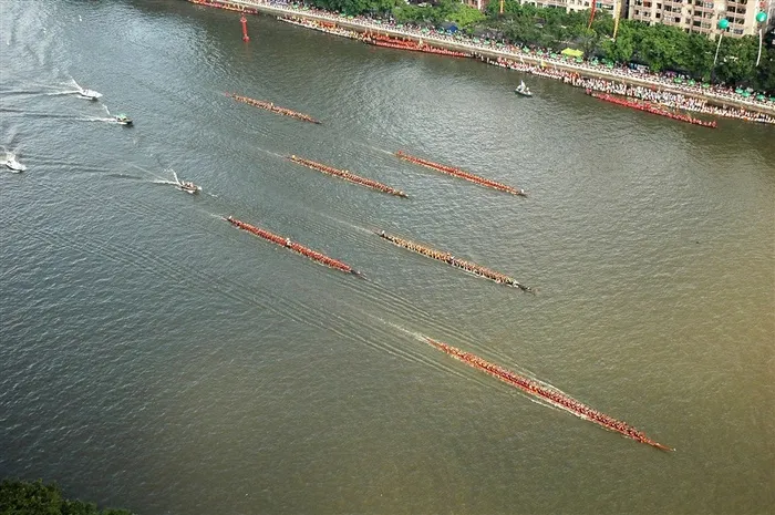 端午节赛龙舟比赛湖泊上划龙舟高清图片中国传统运动