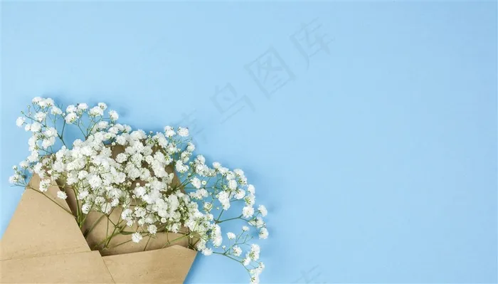 春季春天白色满天星鲜花卉蓝色桌面背景