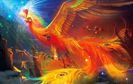 凤凰插画图片