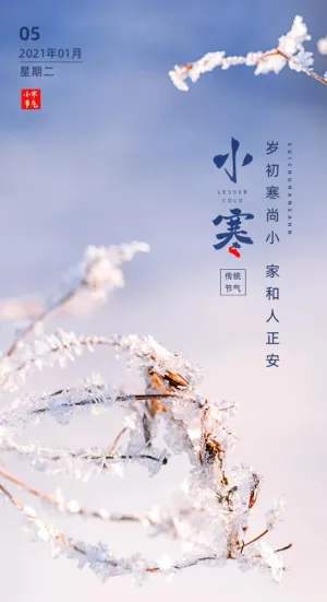 小寒宣传海报