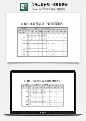 电商618运营表格（销售利润表）预览图