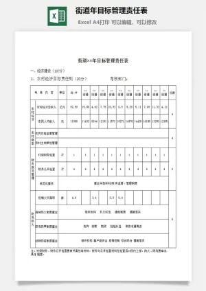 街道年目标管理责任表excel模板预览图