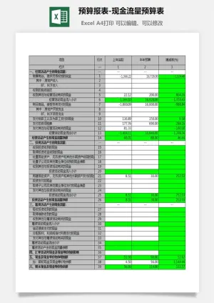 预算报表-现金流量预算表预览图