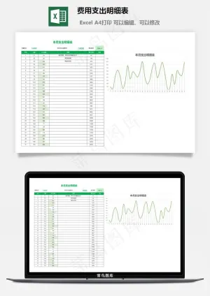费用支出明细表预览图