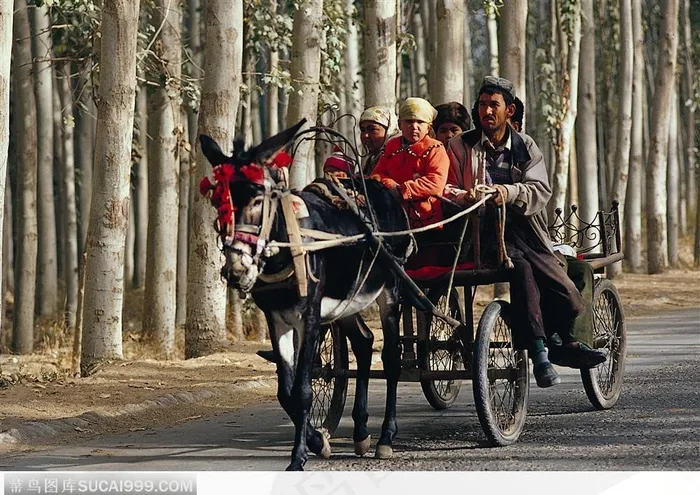 西藏人文风光-坐车出行的人们