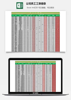 公司员工工资信息excel模板预览图