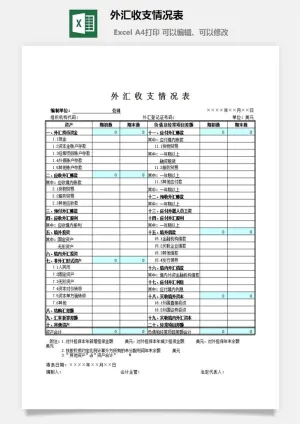 外汇收支情况表excel模板预览图