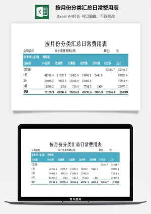 按月份分类汇总日常费用表excel模板预览图