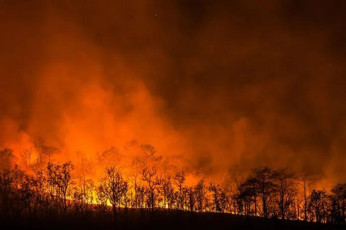 熊熊大火的森林火灾素材图片
