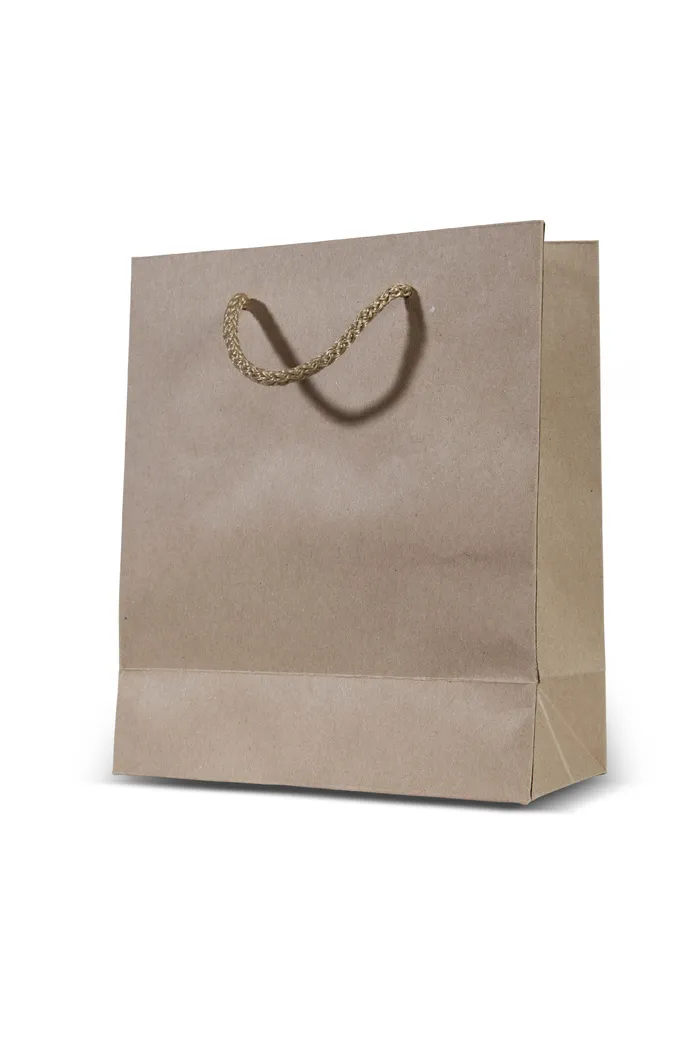 袋子样机 一个轻便牛皮纸袋 大容量礼品袋 纸质打包袋 包装袋品牌购物袋