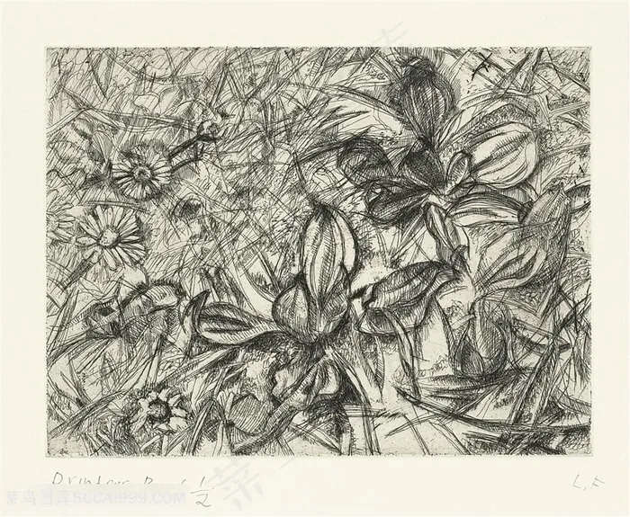 弗洛伊德手绘素描花卉植物装饰画