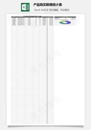 产品购买数据统计表预览图