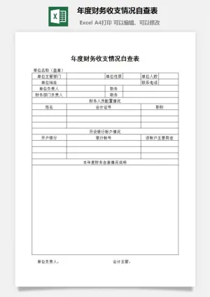 年度财务收支情况自查表excel模板预览图