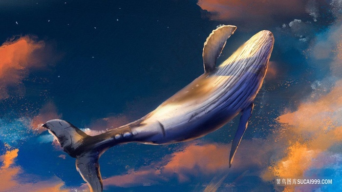 唯美的鲸插画壁纸 菜鸟图库