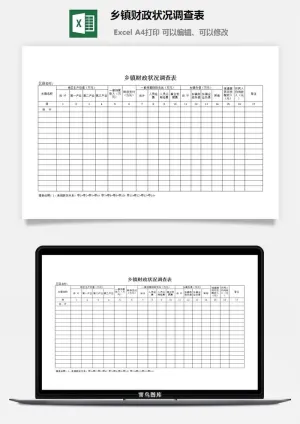 乡镇财政状况调查表excel模板预览图