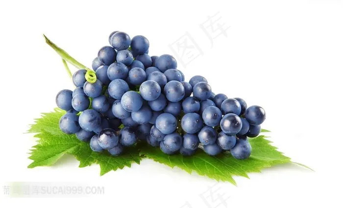 高清摄影图紫色葡萄水果图片