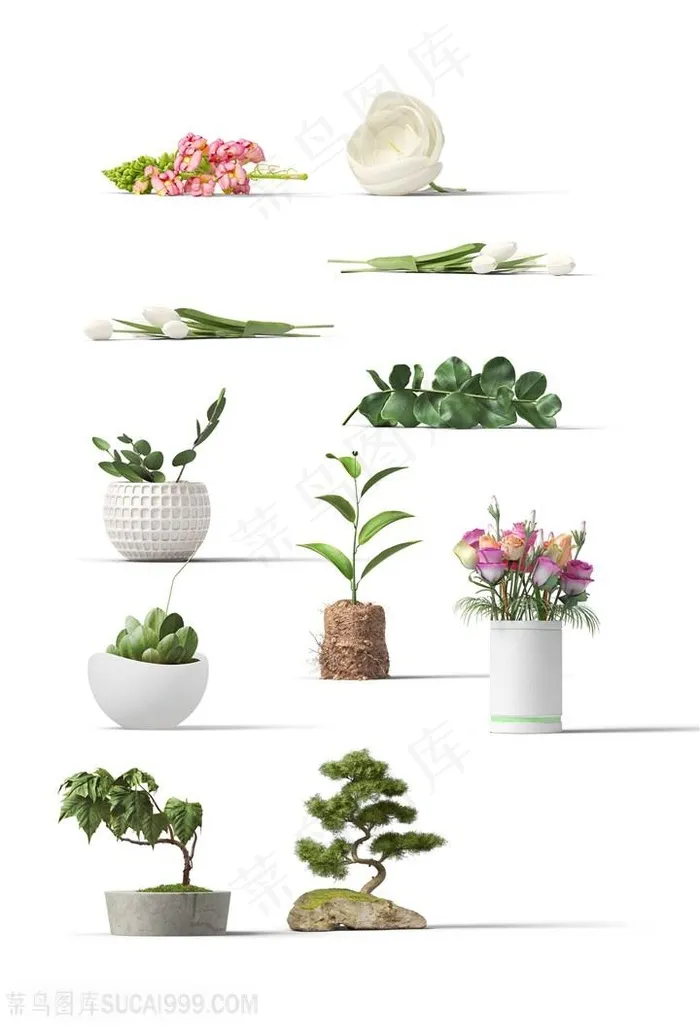 11款植物花卉盆栽素材