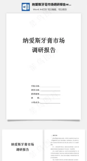 纳爱斯牙膏市场调研报告word文档预览图