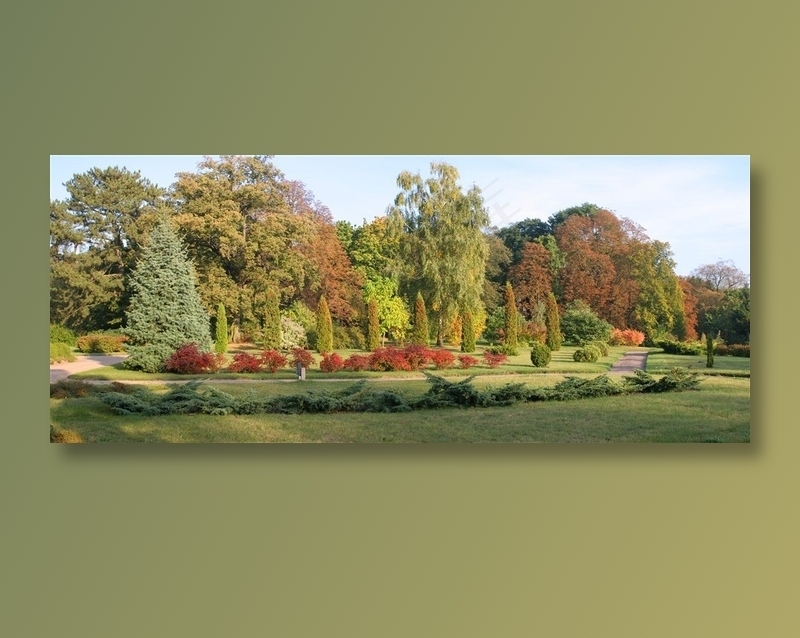 公园全景摄影3d环境贴图