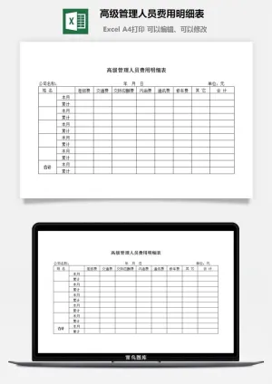 高级管理人员费用明细表excel模板预览图