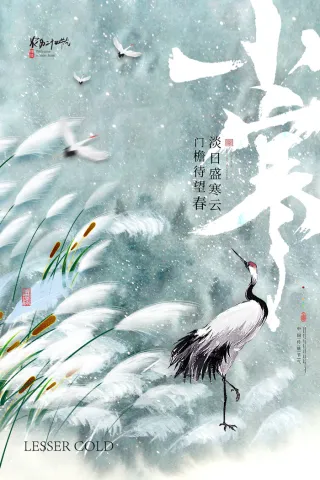 二十四节气简约小寒活动海报
