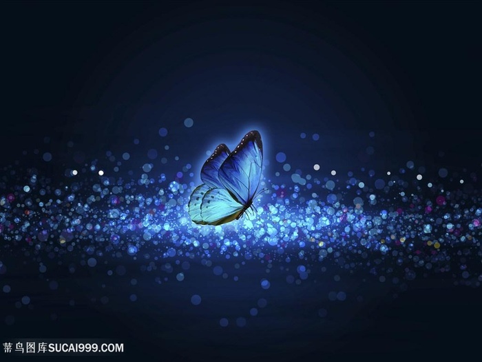 本素材作品名称为蓝色光晕蝴蝶绚丽炫光昆虫图片,素材编号是2480861