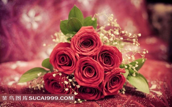 玫瑰花束鲜花宽屏壁纸 菜鸟图库