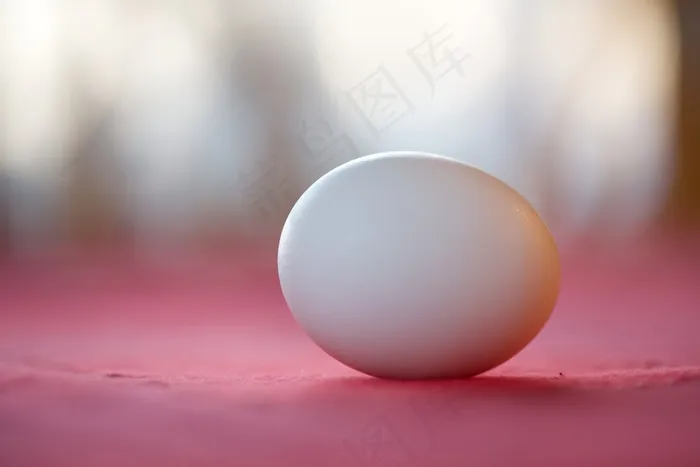 一个白鸡蛋图片